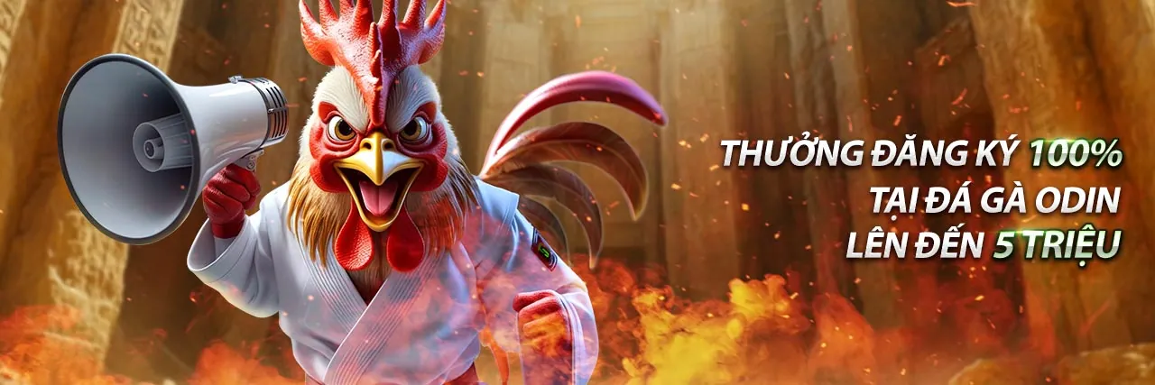 Đội ngũ ibet win đang làm việc trong môi trường chuyên nghiệp và hiện đại